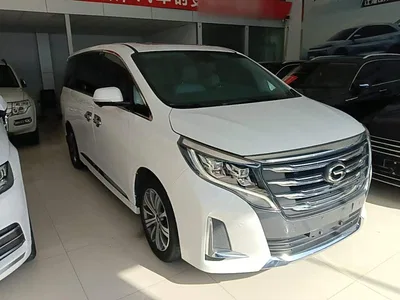 2020 GAC Trumpchi Trumpchi M8 Pilot 390T Ultimate Edition, фото 4, лот 11502019