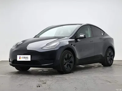 2024 Tesla Model Y Rear-Wheel Drive Version, фото 1, лот 11225744
