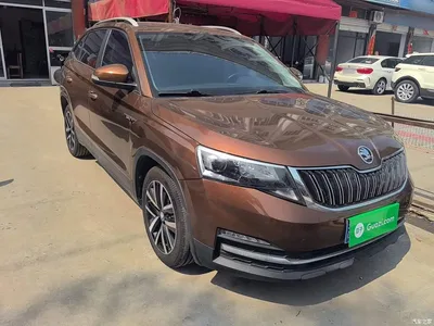 2018 Škoda Kamiq 1.5L Automatic Comfort Version China V, фото 4, лот 10347930