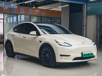 2021 Tesla Model Y Standard Range Rear-Wheel Drive, фото 2, лот 10455196