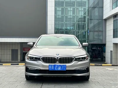 2018 BMW 5 Series 528Li Launch Special Edition, фото 2, лот 11003356