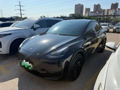 2022 Tesla Model Y Facelift Rear-Wheel Drive Version, фото 1, лот 11196728