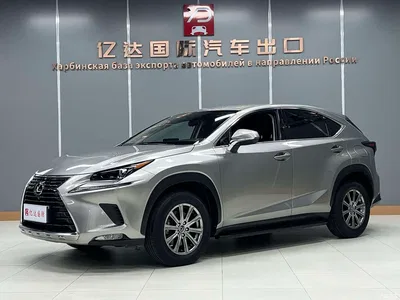 2020 Lexus NX 200 FWD Fengyi Edition China VI, фото 1, лот 10316545