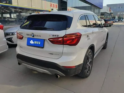 2018 BMW X1 xDrive20Li Luxury Model, фото 3, лот 11584424