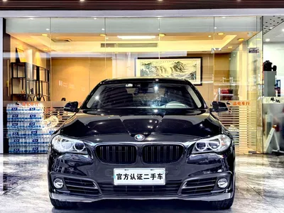 2014 BMW 5 Series 520Li Elegance, фото 2, лот 11132765