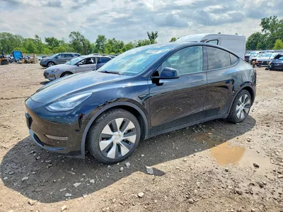 2021 TESLA MODEL Y, фото 1, лот 10676694
