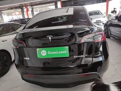 2023 Tesla Model Y Rear-Wheel Drive Edition, фото 4, лот 10370162