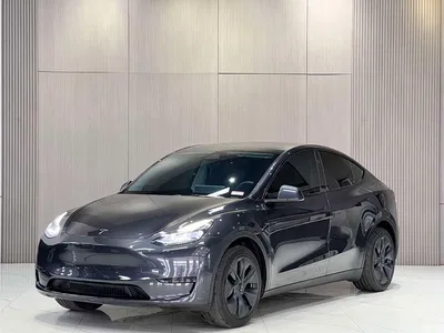 2024 Tesla Model Y Rear-Wheel Drive Version, фото 1, лот 11199678