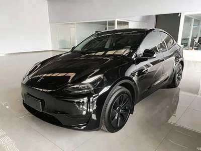 2023 Tesla Model Y Rear-Wheel Drive Edition, фото 2, лот 10387404