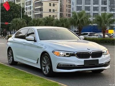 2018 BMW 5 Series New Energy 530Le Luxury Package, фото 3, лот 11139223