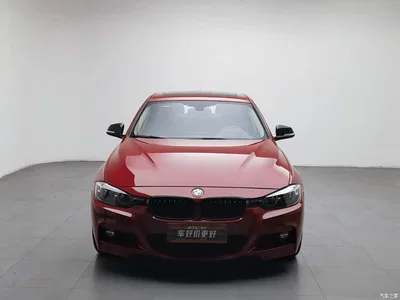 2019 BMW 3 Series 320Li M Sport Black Night Edition, фото 3, лот 10570833
