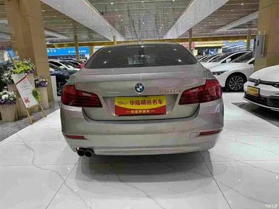2014 BMW 5 Series 520Li Elegance, фото 4, лот 10671012