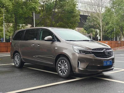 2021 Buick GL8 Land Business Class 652T Luxury, фото 3, лот 10257038