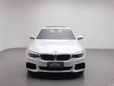 2019 BMW 5 Series Facelift 525Li M Sport Package, фото 3, лот 10955448