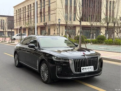 2020 Hongqi H9 2.0T Smart Connection Qi Chang Edition, фото 3, лот 10287393