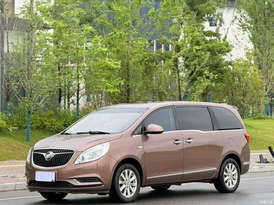 2018 Buick GL8 28T Luxury Model China VI, фото 1, лот 10256498