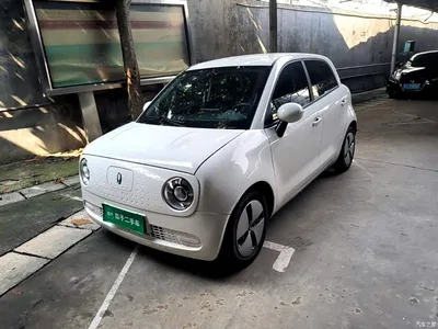 2021 Ora Black Cat 301km Pet Edition, фото 1, лот 11114075