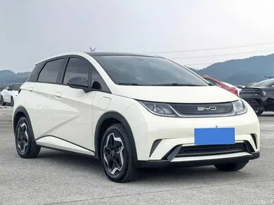 2021 BYD Dolphin Model 405km Fashion Edition, фото 3, лот 11140944