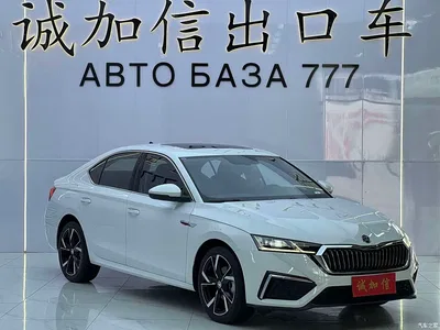 2023 Škoda Octavia Facelift PRO TSI280 Premium Edition, фото 3, лот 11178759