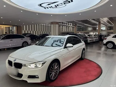 2017 BMW 3 Series 320Li M Sport, фото 2, лот 10576149
