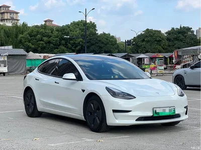 2022 Tesla Model 3 Model Rear-Wheel Drive Version, фото 3, лот 10366846