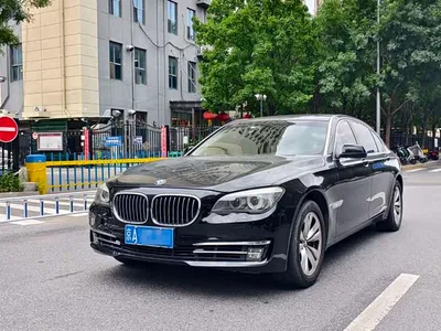 2009 BMW 7 Series 730Li Leading, фото 1, лот 10459378