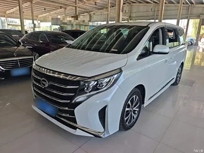 2024 GAC Trumpchi Trumpchi M8 Leadershow Series 390T Luxury Edition, фото 2, лот 10421867
