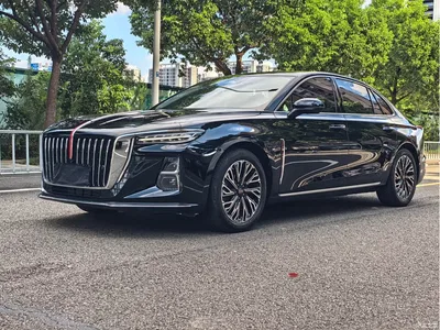 2024 Hongqi H5 2.0T Automatic Smart Connect Flag Smooth Edition, фото 1, лот 10285513