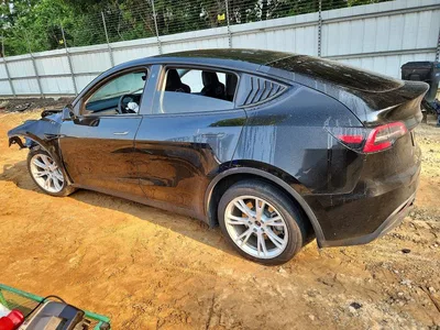 2023 TESLA MODEL Y, фото 2, лот 10852936
