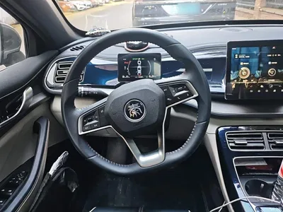 2021 BYD Qin PLUS DM-i 55KM Flagship, фото 3, лот 11074325