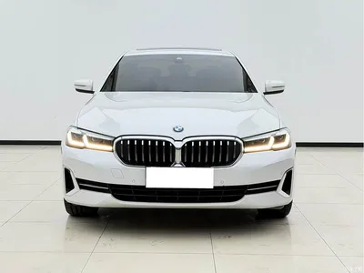 2022 BMW 5 Series 525Li Luxury Package, фото 2, лот 10764715