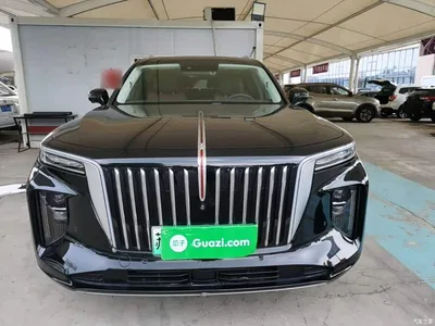 2021 Hongqi E-HS9 460km Flagship Comfort 6-seater, фото 3, лот 10289320