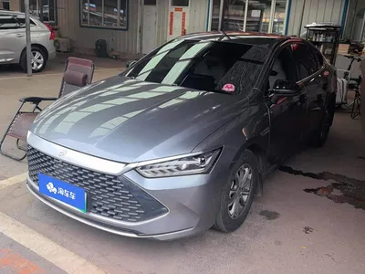2024 BYD Qin PLUS Glory Edition DM-i 55KM Leading, фото 1, лот 10363552