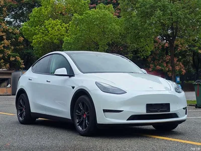 2023 Tesla Model Y Long Range All-Wheel Drive Edition, фото 2, лот 11249613