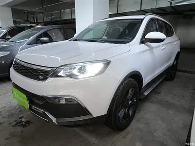 2017 Leopaard CS10 Model 2.0T Automatic Urban Edition, фото 2, лот 11646016