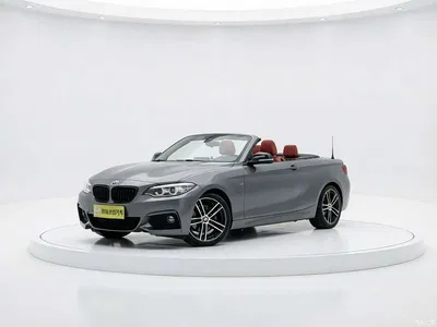 2019 BMW 2 Series (Import) 225i Convertible Coupe Exclusive M Sport Package, фото 1, лот 11546625