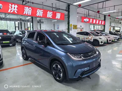 2025 BYD Dolphin 420km Freedom Edition, фото 3, лот 10257488