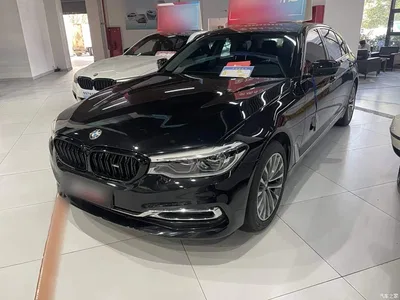 2019 BMW 5 Series 525Li Luxury Package, фото 2, лот 10598282