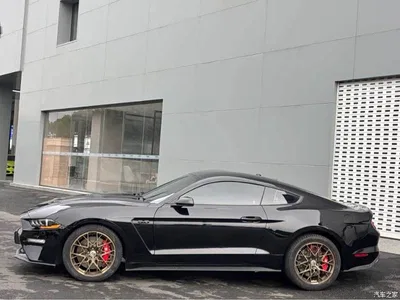 2019 Ford Mustang 2.3L EcoBoost, фото 4, лот 10298175