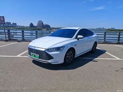 2024 BYD Qin PLUS Glory Edition DM-i 55KM Leading, фото 1, лот 10363513