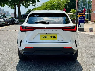 2024 Lexus NX 260 FWD Joy Creation Edition, фото 4, лот 10311429