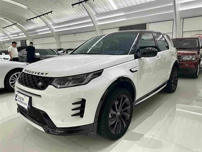 2024 Land Rover Discovery Sport Luxury Custom Edition, фото 1, лот 10327546