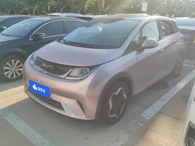 2021 BYD Dolphin Model 405km Fashion Edition, фото 1, лот 10252366