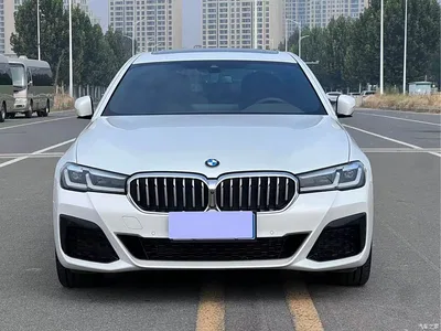 2022 BMW 5 Series Facelift 530Li Leading M Sport Package, фото 2, лот 10813039