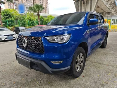 2021 Great Wall Pao 2.0T Commercial Edition Automatic Diesel 2WD Elite Long Box GW4D20M, фото 2, лот 10246321
