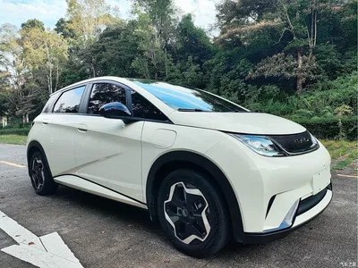 2021 BYD Dolphin Model 405km Fashion Edition, фото 3, лот 10255874