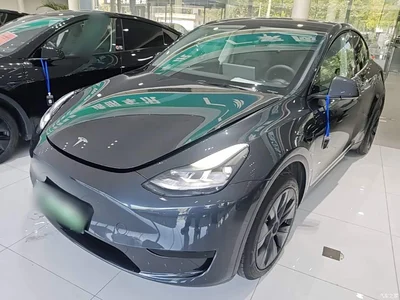 2024 Tesla Model Y Rear-Wheel Drive Version, фото 2, лот 10370060