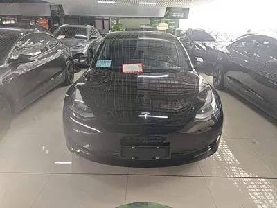 2022 Tesla Model 3 Model Rear-Wheel Drive Version, фото 3, лот 10889283