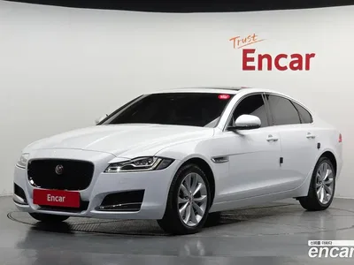 2019 Jaguar XF 20d Portfolio, фото 1, лот 10116736