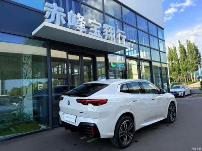 2024 BMW X2 (Import) xDrive25i M Sport Shadowline Package, фото 4, лот 10285088